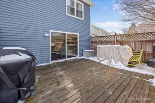 3218 Blackhawk Trail, Saint Charles, IL 60174 - Photo 34