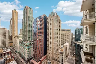 55 E Erie St, Chicago, IL 60611 - Photo 34