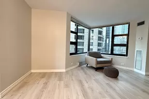 401 E Ontario St, Chicago, IL 60611 - Photo 6