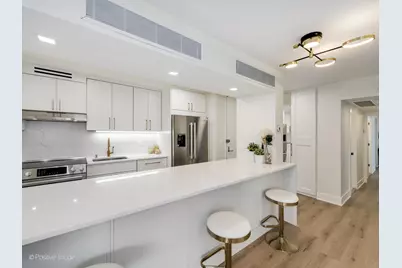 1310 N Ritchie Court #27C, Chicago, IL 60610 - Photo 2