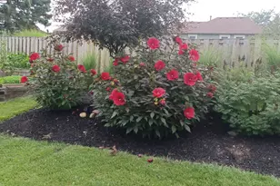 871 Brandt Dr, Lake in the Hills, IL 60156 - Photo 18