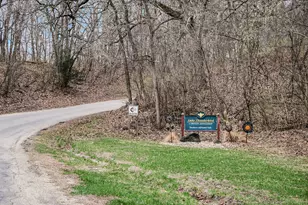 20 Chairtree Ct, Putnam, IL 61560 - Photo 46