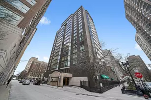 21 W Goethe St, Chicago, IL 60610 - Photo 1