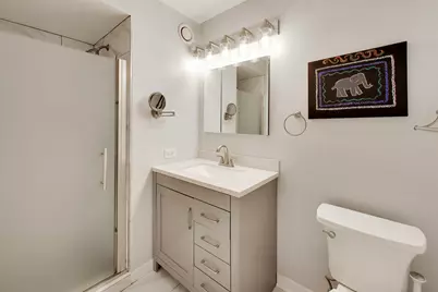 345 N Lasalle Street #901, Chicago, IL 60654 - Photo 22