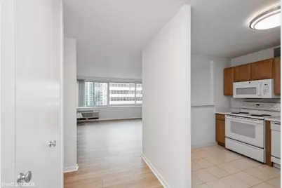 211 E Ohio Street #2107, Chicago, IL 60611 - Photo 2