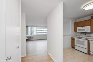211 E Ohio St, Chicago, IL 60611 - Photo 2