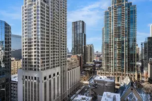 118 E Erie St, Chicago, IL 60611 - Photo 10