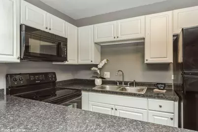 20 Saint Thomas Colony #7, Fox Lake, IL 60020 - Photo 8