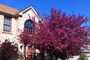 113 Woodlet Ln, Bolingbrook, IL 60490 - Photo 2