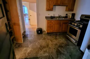 3834 W Monroe St, Chicago, IL 60624 - Photo 10