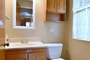 7313 W Fitch Ave, Chicago, IL 60631 - Photo 18