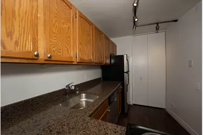 100 W Chestnut Street #3004, Chicago, IL 60610 - Photo 10