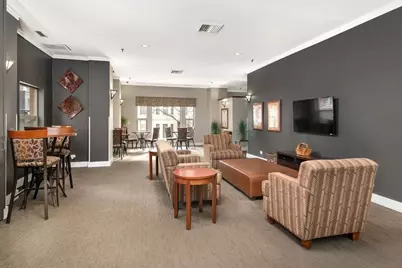 100 W Chestnut Street #3004, Chicago, IL 60610 - Photo 4