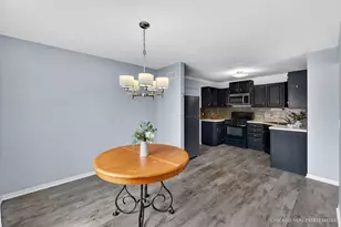 11722 Daniel Ln, Huntley, IL 60142 - Photo 8