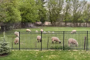 2110 Silver Leaf Dr, Island Lake, IL 60042 - Photo 36