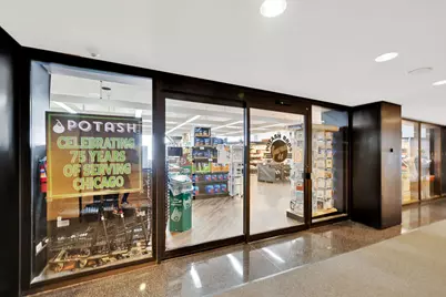 175 E Delaware Place #6018, Chicago, IL 60611 - Photo 20