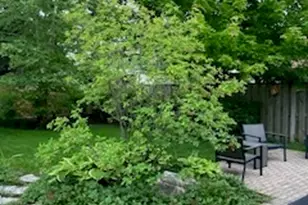 241 Lincoln St, Glenview, IL 60025 - Photo 32