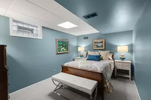 241 Lincoln St, Glenview, IL 60025 - Photo 28