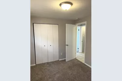 13055 S Buffalo Avenue, Chicago, IL 60633 - Photo 10