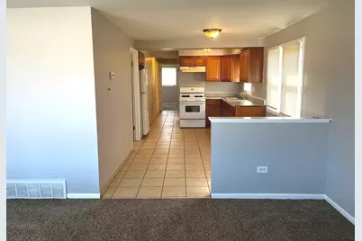 13055 S Buffalo Avenue, Chicago, IL 60633 - Photo 4