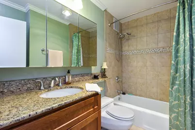 155 N Harbor Drive #2408, Chicago, IL 60601 - Photo 10