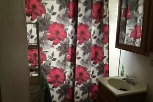 13924 S Michigan Ave, Riverdale, IL 60827 - Photo 10