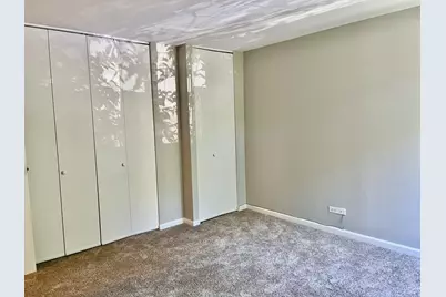 5817 Oakwood Drive #D, Lisle, IL 60532 - Photo 12