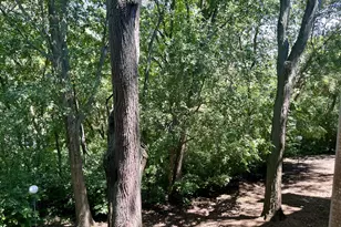 5817 Oakwood Dr, Lisle, IL 60532 - Photo 18