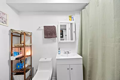 1527 W 18th Place, Chicago, IL 60608 - Photo 26