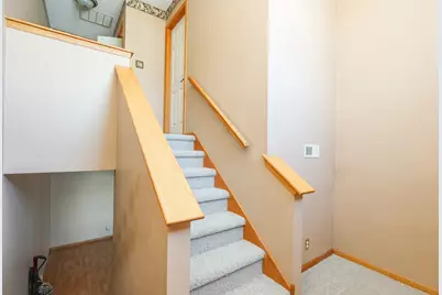 384 Raven Drive, Manteno, IL 60950 - Photo 10