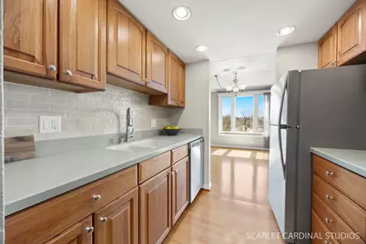 1 Renaissance Place #201, Palatine, IL 60067 - Photo 8