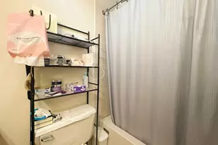 3021 S Michigan Ave, Chicago, IL 60616 - Photo 8