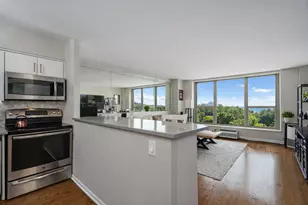 1550 N Lake Shore Dr, Chicago, IL 60610 - Photo 8