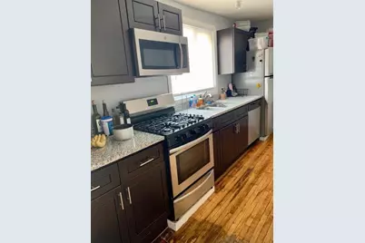 1901 S Ruble Street, Chicago, IL 60616 - Photo 12