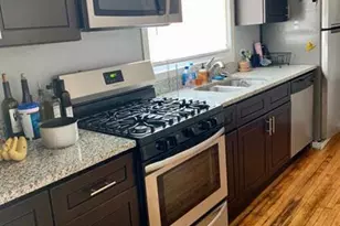 1901 S Ruble St, Chicago, IL 60616 - Photo 12