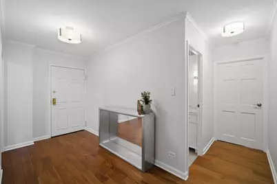 1440 N State Parkway #5B, Chicago, IL 60610 - Photo 20