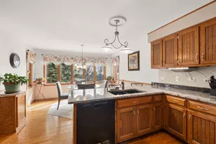 15631 Harbor Town Dr, Orland Park, IL 60462 - Photo 10