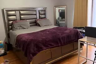 5137 S Wabash Ave, Chicago, IL 60615 - Photo 10