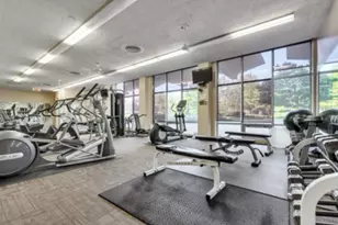 1455 N Sandburg Terrace, Chicago, IL 60610 - Photo 18