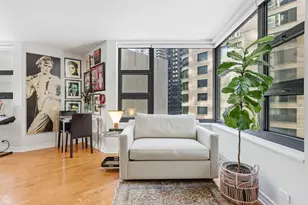 401 E Ontario St, Chicago, IL 60611 - Photo 4