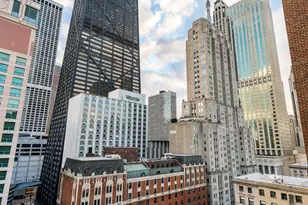 189 E Lake Shore Dr, Chicago, IL 60611 - Photo 60