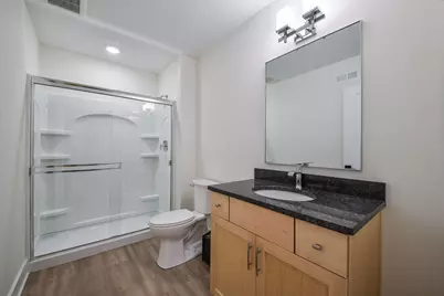 611 S Loomis Street, Naperville, IL 60540 - Photo 58