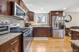 1003 E Alder Ln, Mount Prospect, IL 60056 - Photo 10