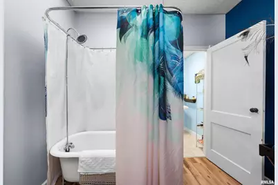 309 Main Street, Savanna, IL 61074 - Photo 30