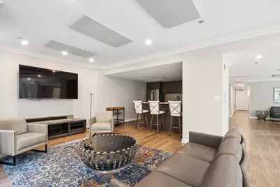 25 E Superior Street #901, Chicago, IL 60611 - Photo 26