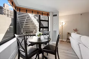 401 E Ontario St, Chicago, IL 60611 - Photo 16