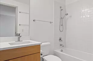 250 E Pearson St, Chicago, IL 60611 - Photo 36