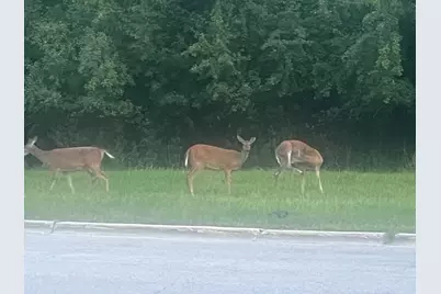 2222 S 15th Avenue, North Riverside, IL 60546 - Photo 32