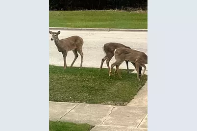 2222 S 15th Avenue, North Riverside, IL 60546 - Photo 34