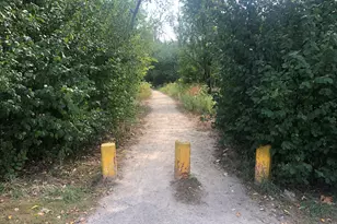 2222 S 15th Ave, North Riverside, IL 60546 - Photo 30